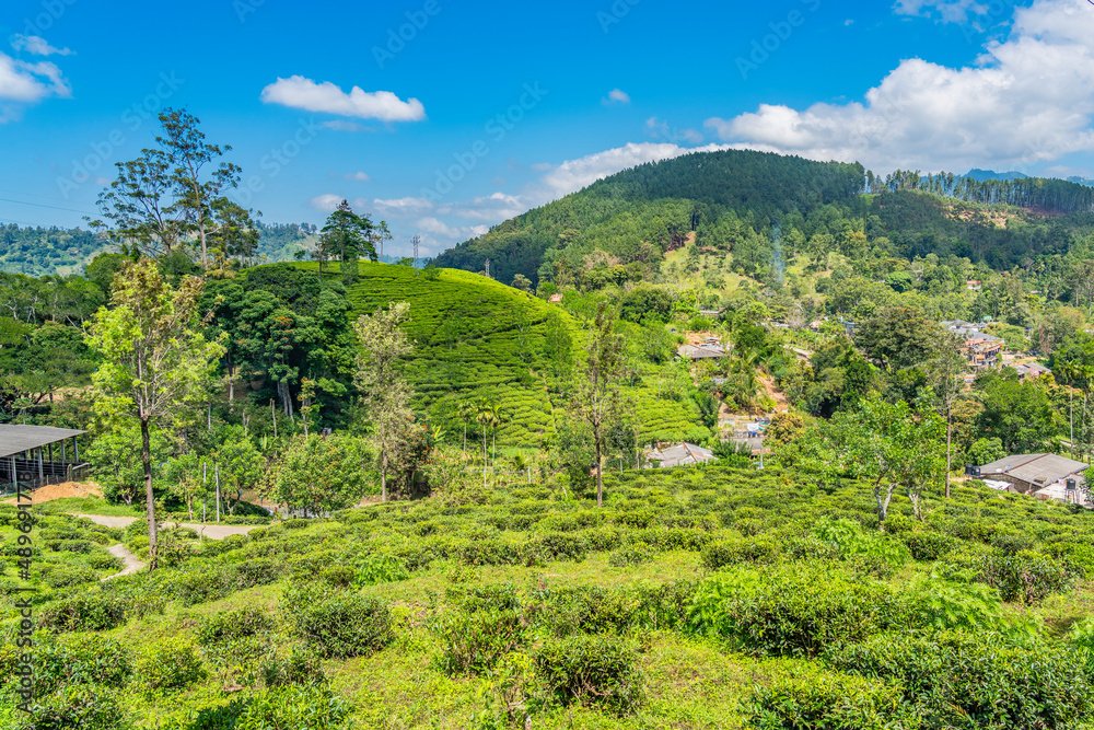 bamdarawela, Sri Lanka